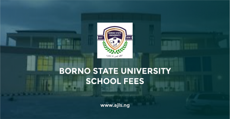Borno State University School Fees