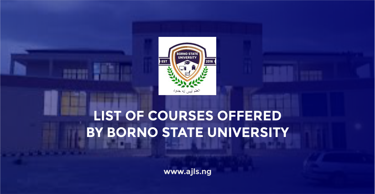 Borno State University Courses