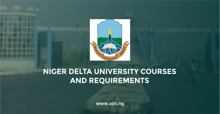 Niger Delta University Courses