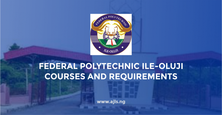 Federal Polytechnic Ile-Oluji Courses and Requirements