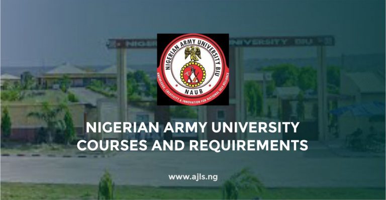 Nigerian Army University Courses and Requirements