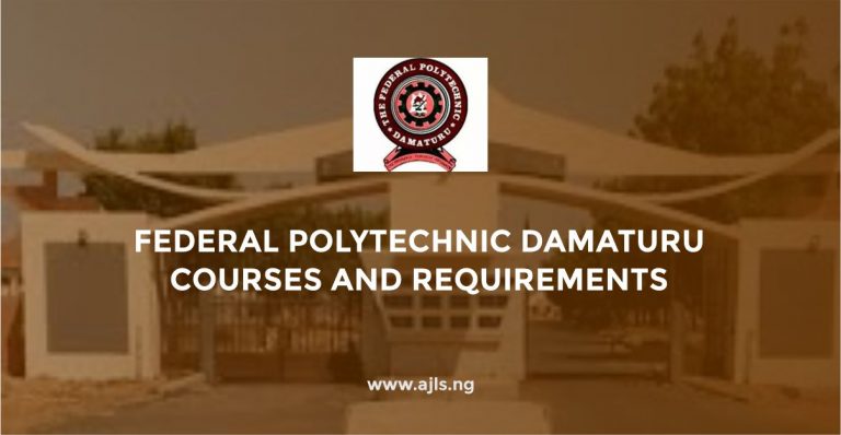 Federal Polytechnic Damaturu Courses