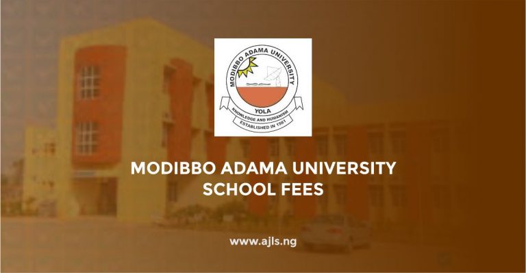Modibbo Adama University School Fees