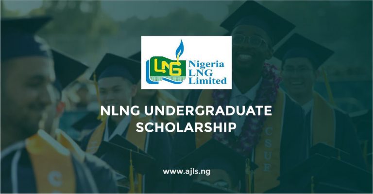 NLNG Undergraduate Scholarship