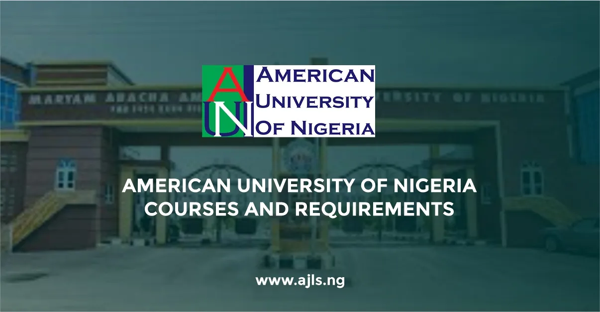 American University of Nigeria Courses and Requirements