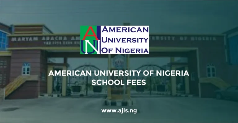 American University of Nigeria School Fees
