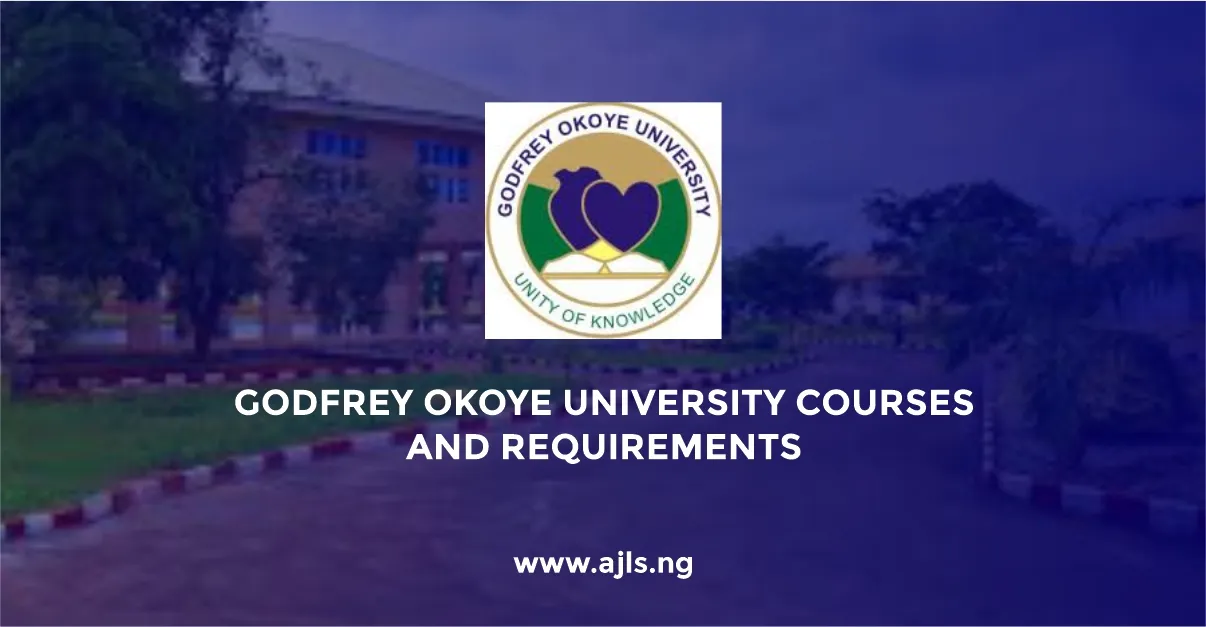 Godfrey Okoye University Courses and Requirements